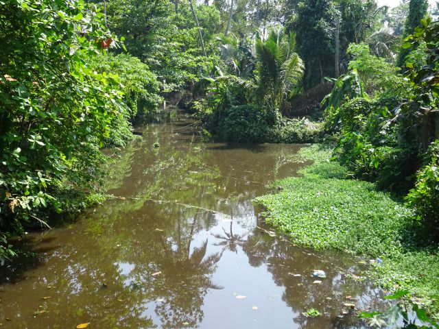 Alleppey